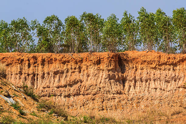istock Soil under condition of the erosion. 478877853