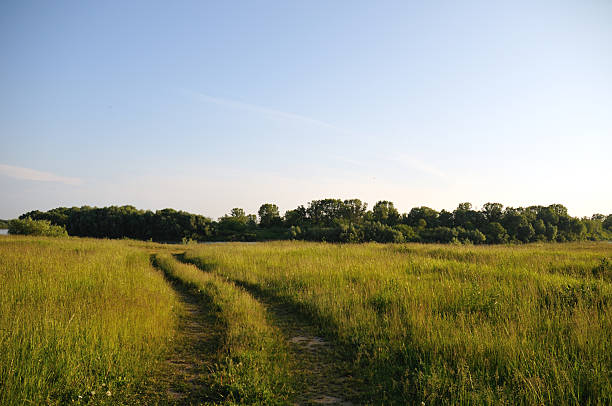istock Country road along the field 478878235
