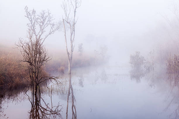istock Lake in the morning mood 478878277