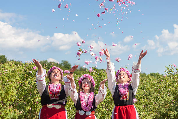 Girls posing during the Rose picking festival in Bulgaria Women dressed in a Bulgarian traditional folklore costume picking roses in a garden, as part of the summer regional ritual in Rose valley, Bulgaria. bulgarian culture photos stock pictures, royalty-free photos & images