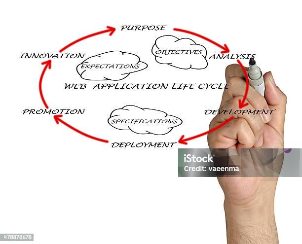 Presentation Of Web Application Lifecycle Stock Photo - Download Image Now - 2015, Adult, Anticipation