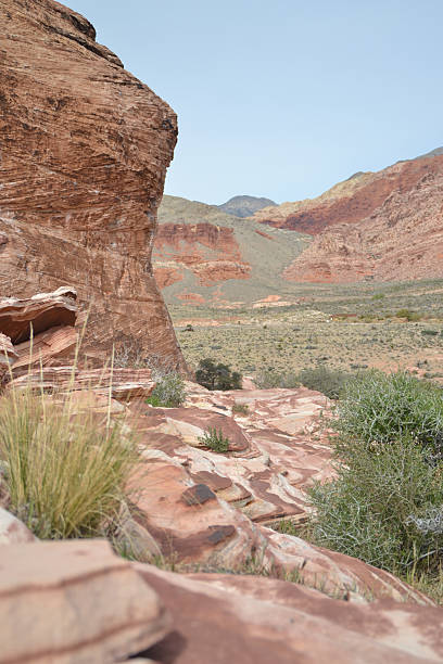 istock Red Rock Desert in Arizona 478878843