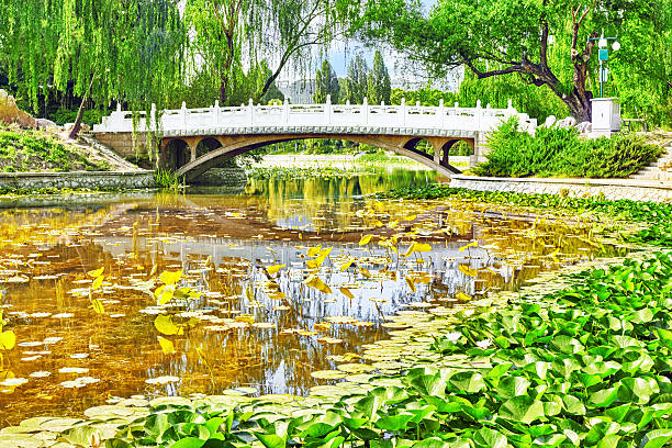 istock Typical Chinese garden,  park with bizarre rocks. Beijing. 478879020
