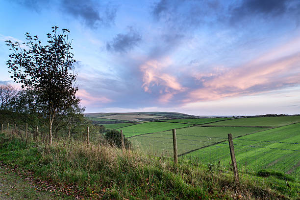 istock Beautiful Autumn forest and fields during sunrise landscape 478879493