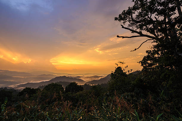 istock View landscape sunset  natural mountain 478879939