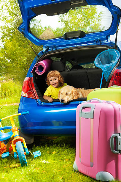 istock Boy and dog in the trunk waiting 478880027