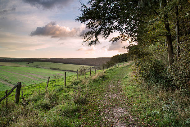 istock Beautiful Autumn forest and fields during sunrise landscape 478880877