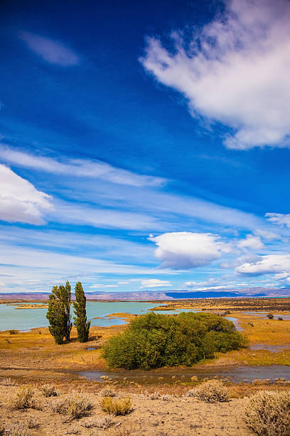 istock Yellow flat scorched desert with shallow ponds 478882188