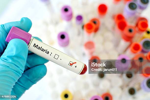 Malaria Positive Stock Photo - Download Image Now - Malaria Parasite, Malaria, Blood