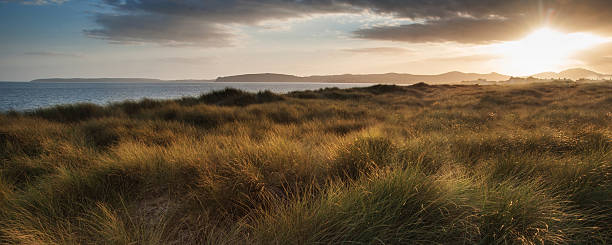 istock Panorama landscape beautiful beach scene during sunset 478883513