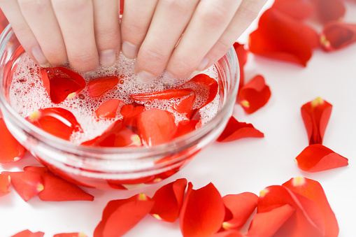 Closeup of female hands soaking in rose soap nail bath.