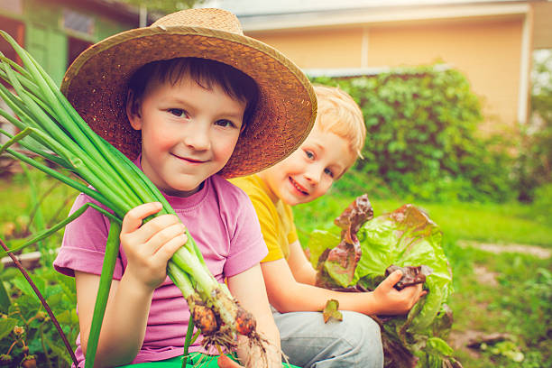 istock Farm living 478884918