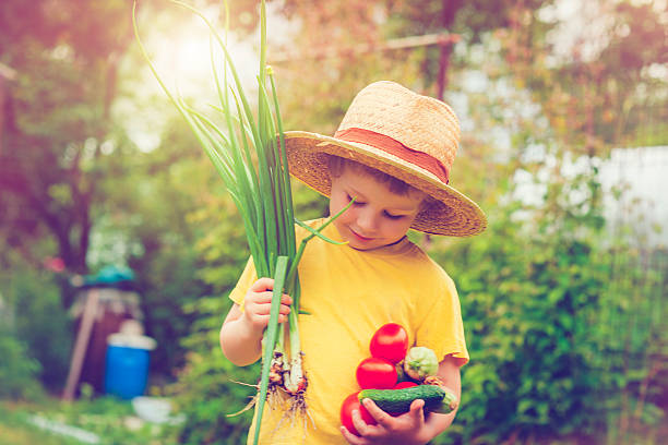 istock Farm living 478884922
