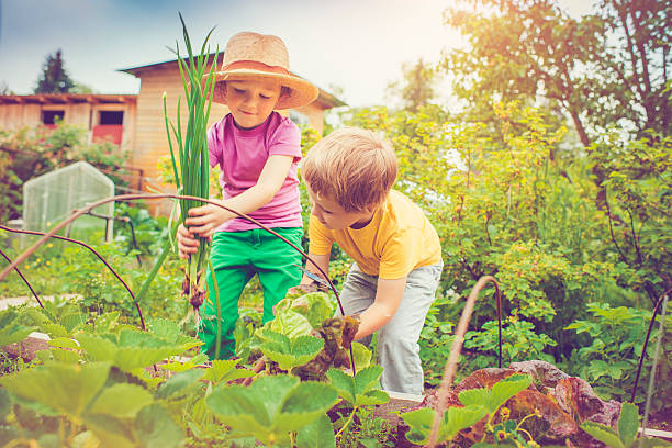 istock Farm living 478884928