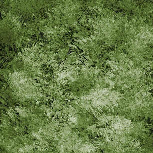 ilustrações de stock, clip art, desenhos animados e ícones de abstrato textura ilustração de relva - backgrounds textured textured effect green