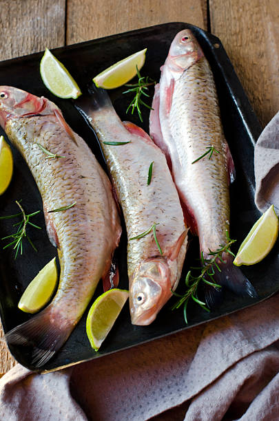 istock Fresh fish with lemon and rosemary 478885121