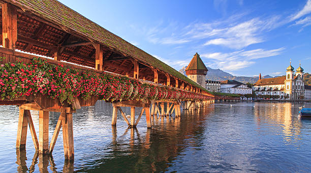 Lucerne, early morning Lucerne, Switzerland, early morning. The Chapel Bridge and the Jesuit Church. swan at dawn stock pictures, royalty-free photos & images