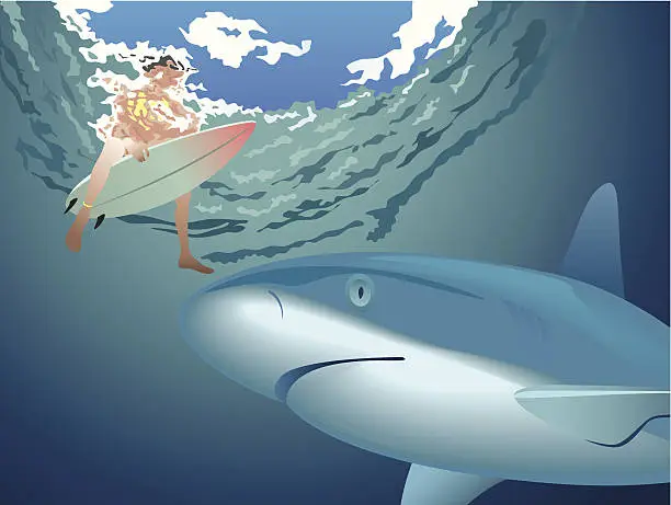 Vector illustration of Shark and surfer