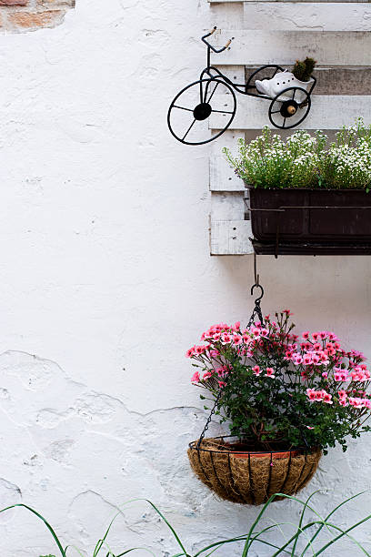 istock Pallet ideas for gardening 478895714