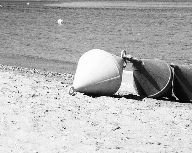 istock Black and white beach buoys 478897254