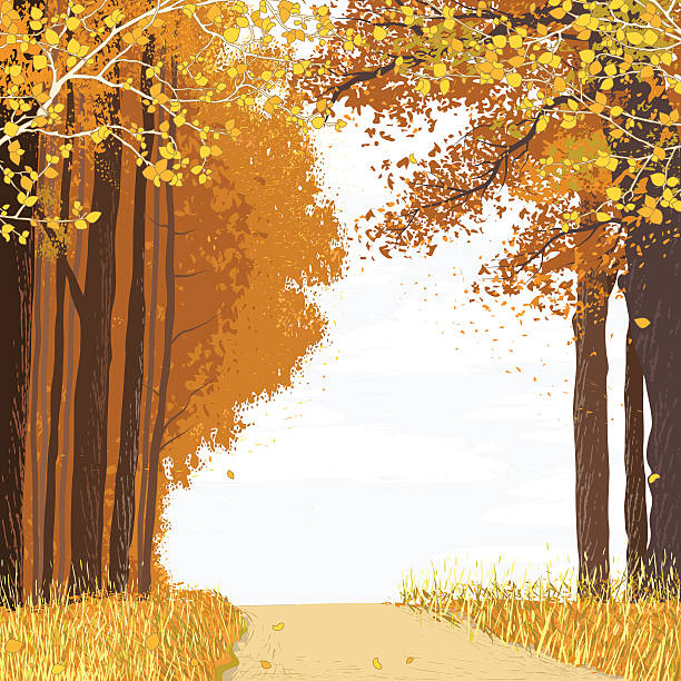 Autumn forest vector art illustration