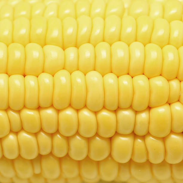 istock sweet corns as food background 478898160
