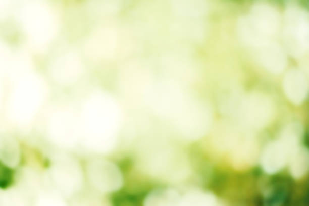 istock Abstract Summer Background with defocused lights bokeh for wallp 478898484