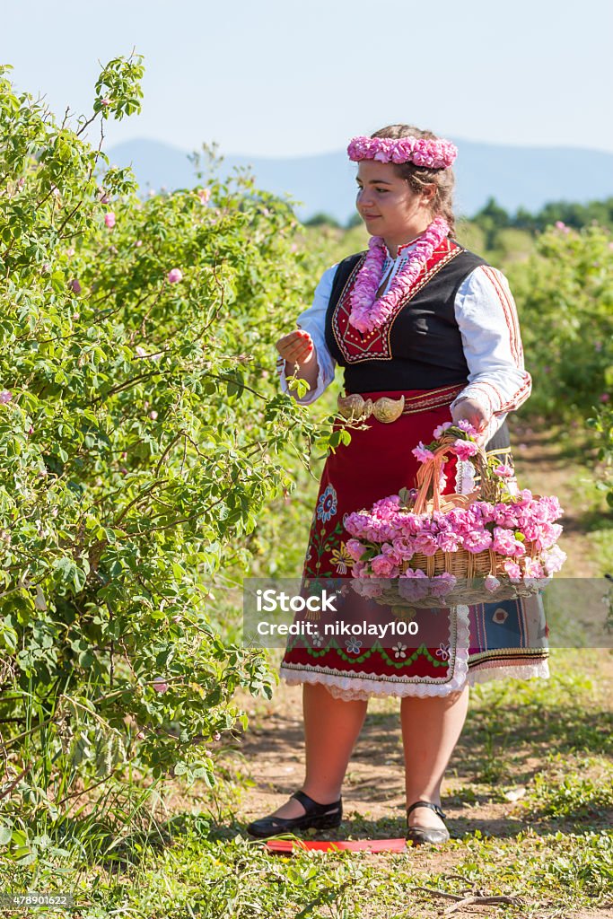 Girl posing during the Rose picking festival in Bulgaria Woman dressed in a Bulgarian traditional folklore costume picking roses in a garden, as part of the summer regional ritual in Rose valley, Bulgaria. 20-29 Years Stock Photo