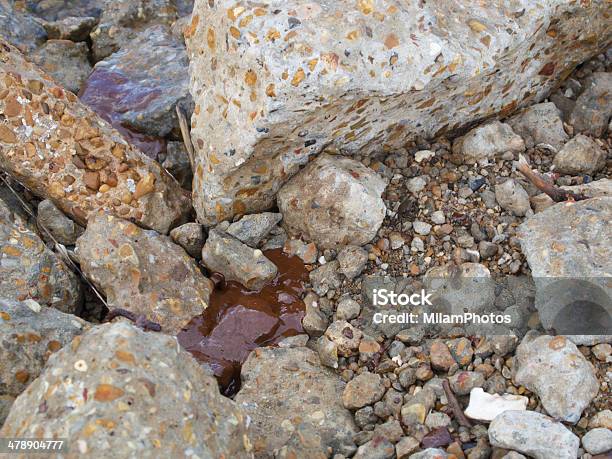 엔진오일 On The Rocks 0명에 대한 스톡 사진 및 기타 이미지 - 0명, 기름 유출, 농게