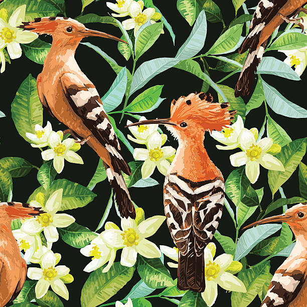 stockillustraties, clipart, cartoons en iconen met seamless pattern of exotic birds, leaf and flower - morocco brazil