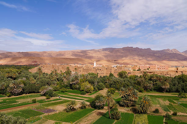 istock Beautiful oasis in Tineghir,Morocco 478912226