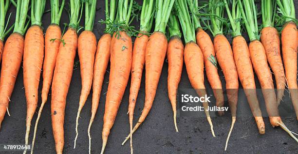 Raw Fresh Carrots With Tails On Natural Background Stock Photo - Download Image Now - 2015, Agriculture, Carrot