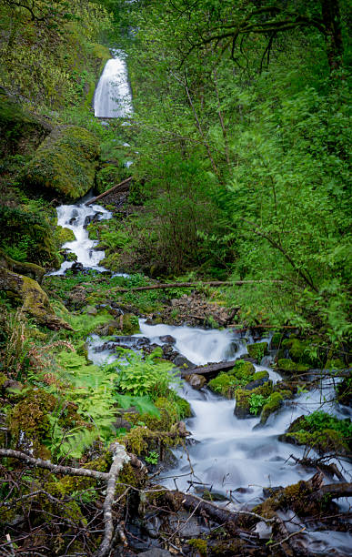istock Columbia River Gorge, Wahkeenah Falls 478918610