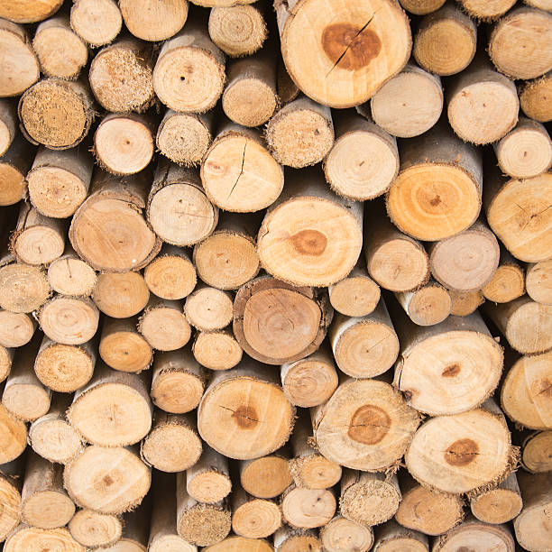 istock piles of wood 478919066