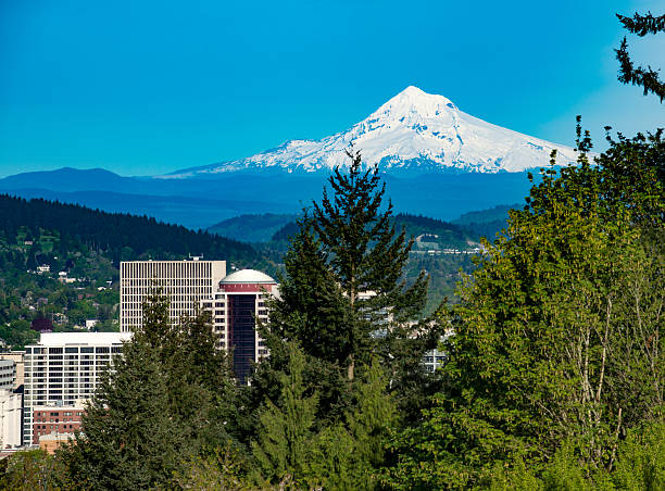 istock Portland and Mount Hood 478919244