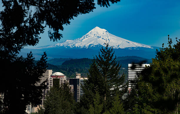 istock Portland and Mount Hood 478919246