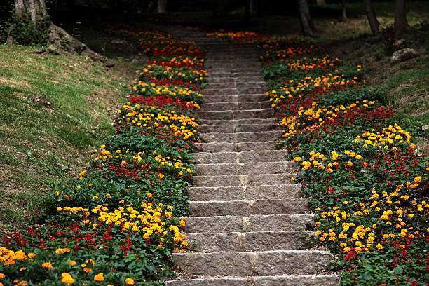 Escadas e flores - fotografia de stock