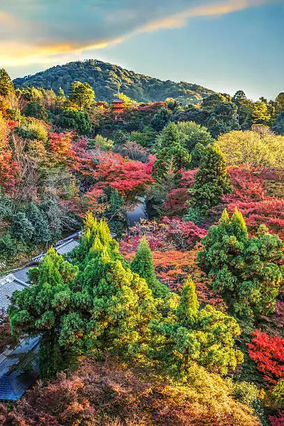 View from Kiyomizu-dera Temple