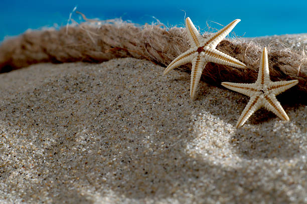 istock 2015_06_Zwei_Seesterne_Seil_Textraum 478923460