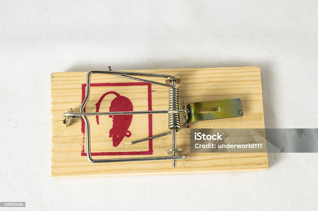 Wooden Mouse Trap Stock Photo - Download Image Now - Animal