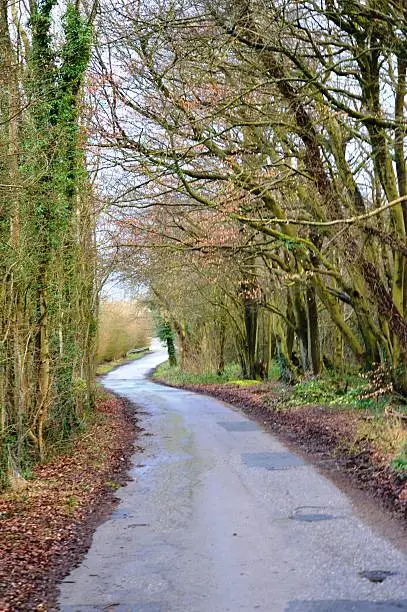 A view along a country lane during the spring.