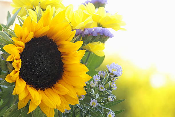istock Beauty of nature 478925407