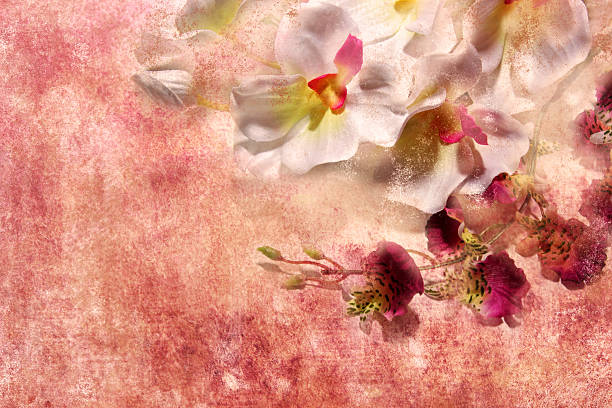 istock lovely flowers in grunge style 478930647