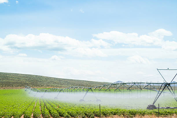 istock Irrigation System In A Potato Field in Idaho 478931603