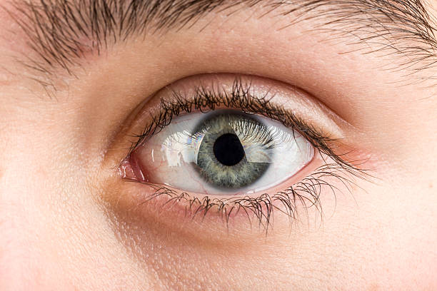 istock teenager eye macro 478932955