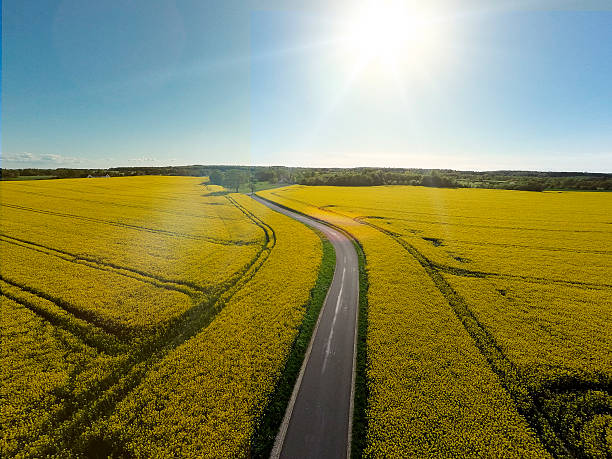 istock Arial shot of field 478934104