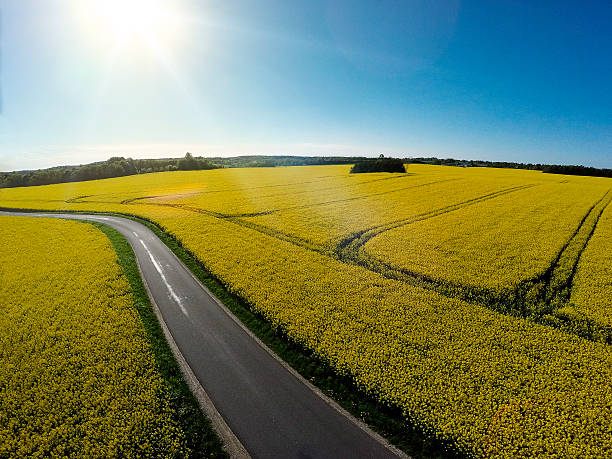 istock Arial shot of field 478934108