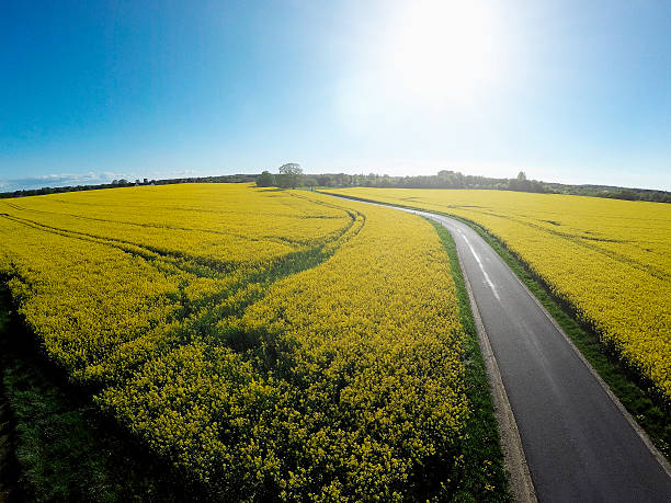 istock Arial shot of field 478934110