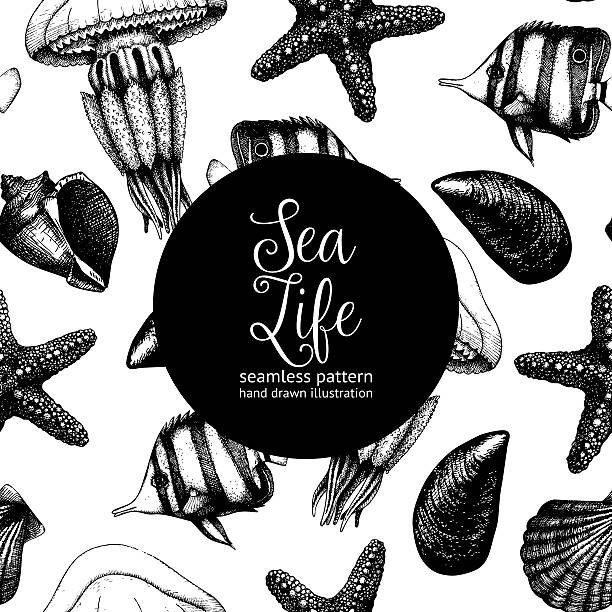 illustrations, cliparts, dessins animés et icônes de fond vintage avec des illustrations de la vie - jellyfish cnidarian illustration and painting engraved image