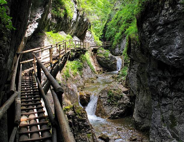 istock Barenschutzklamm - gorge in Austria 478942482